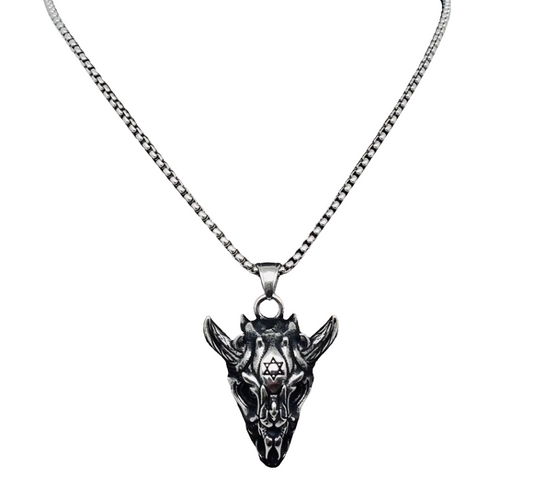 Hexagram Skull Pendant Necklace